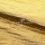 Текстильный материал "Диско"#1805 с покрытием РЕТ, 40гр/м2, 100% полиэстер, цв.5-золото - купить в Новосибирске. Цена 412.36 руб.