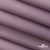 Текстильный материал " Ditto", мембрана покрытие 5000/5000, 130 г/м2, цв.17-1605 розовый туман - купить в Новосибирске. Цена 307.92 руб.