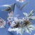 Плательная ткань "Фламенко" 12.1, 80 гр/м2, шир.150 см, принт растительный - купить в Новосибирске. Цена 241.49 руб.