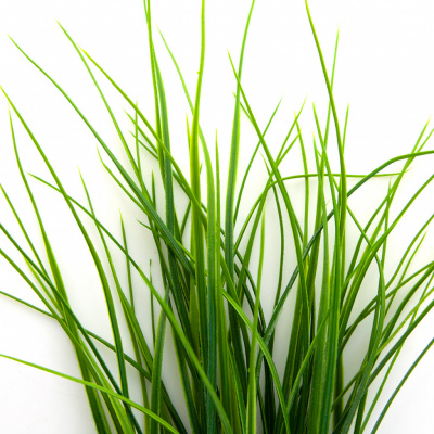 Трава искусственная -3, шт (осока 50 см/8 см  5 листов)				 - купить в Новосибирске. Цена: 124.17 руб.