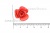 Украшение "Розы малые №1" 20мм - купить в Новосибирске. Цена: 32.49 руб.