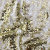 Трикотажное полотно, Сетка с пайетками, шир.130 см, #315, цв.-белый/золото - купить в Новосибирске. Цена 700.46 руб.
