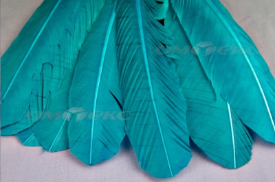 Декоративный Пучок из перьев, перо 24см/голубой - купить в Новосибирске. Цена: 12.19 руб.