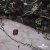 Сетка с вышивкой "Мадрид" 135 г/м2, 100% нейлон, ширина 130 см, Цвет 4/Черный - купить в Новосибирске. Цена 980 руб.