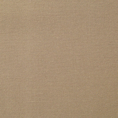 Костюмная ткань с вискозой "Меган" 18-1015, 210 гр/м2, шир.150см, цвет кофе милк - купить в Новосибирске. Цена 380.91 руб.