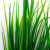 Трава искусственная -2, шт (осока 41см/8 см)				 - купить в Новосибирске. Цена: 104.57 руб.
