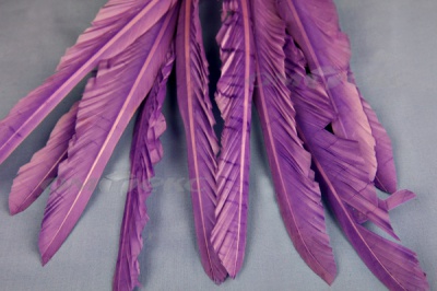 Декоративный Пучок из перьев, перо 25см/фиолетовый - купить в Новосибирске. Цена: 12.19 руб.
