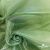 Ткань органза, 100% полиэстр, 28г/м2, шир. 150 см, цв. #27 зеленый - купить в Новосибирске. Цена 86.24 руб.