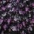 Плательная ткань "Фламенко" 20.1, 80 гр/м2, шир.150 см, принт растительный - купить в Новосибирске. Цена 241.49 руб.