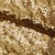 Сетка с пайетками №3, 188 гр/м2, шир.140см, цвет золотой - купить в Новосибирске. Цена 454.12 руб.