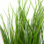 Трава искусственная -4, шт  (осока 50 см/8 см  7 листов)				 - купить в Новосибирске. Цена: 130.73 руб.