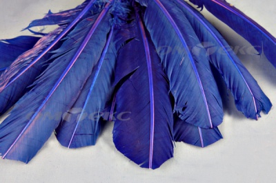 Декоративный Пучок из перьев, перо 23см/синий - купить в Новосибирске. Цена: 12.34 руб.